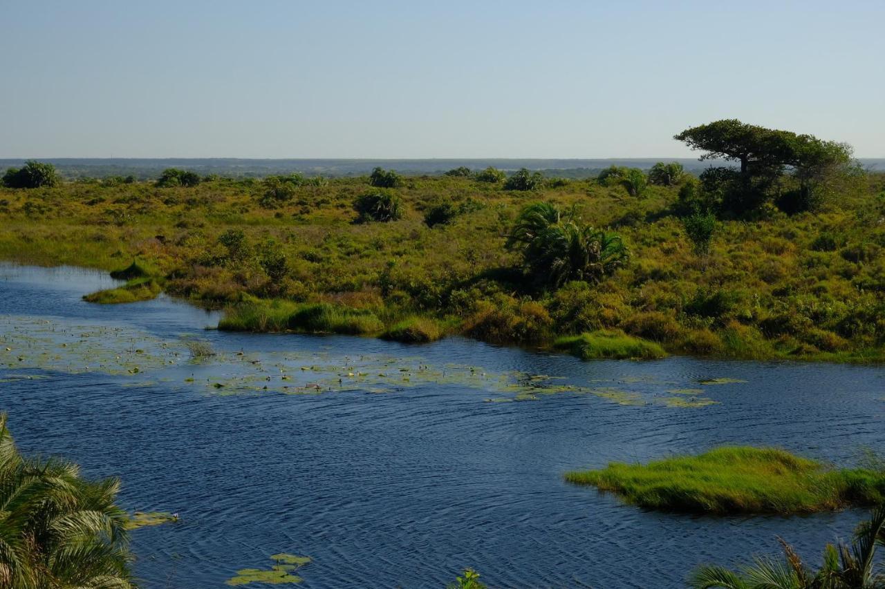 African Thistle Saint Lucia Estuary Esterno foto